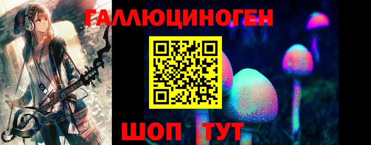 где найти   Псилоцибиновые грибы мицелий  Вход с VPN  Котлас  Псилоцибиновые грибы Psilocybine cubensis 